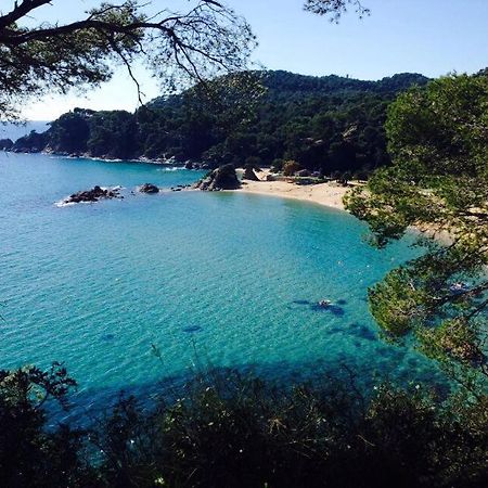 Appartements Les Pesquiers 2 Hyeres Plage Exteriör bild