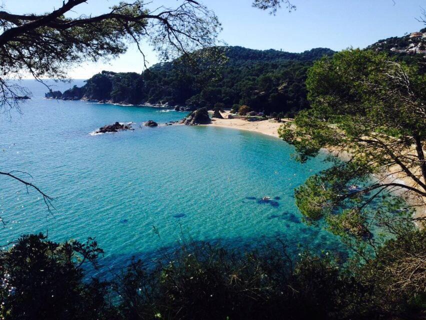 Appartements Les Pesquiers 2 Hyeres Plage Exteriör bild